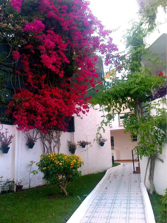 Apartamento Oasis Τορρεμολίνος Εξωτερικό φωτογραφία